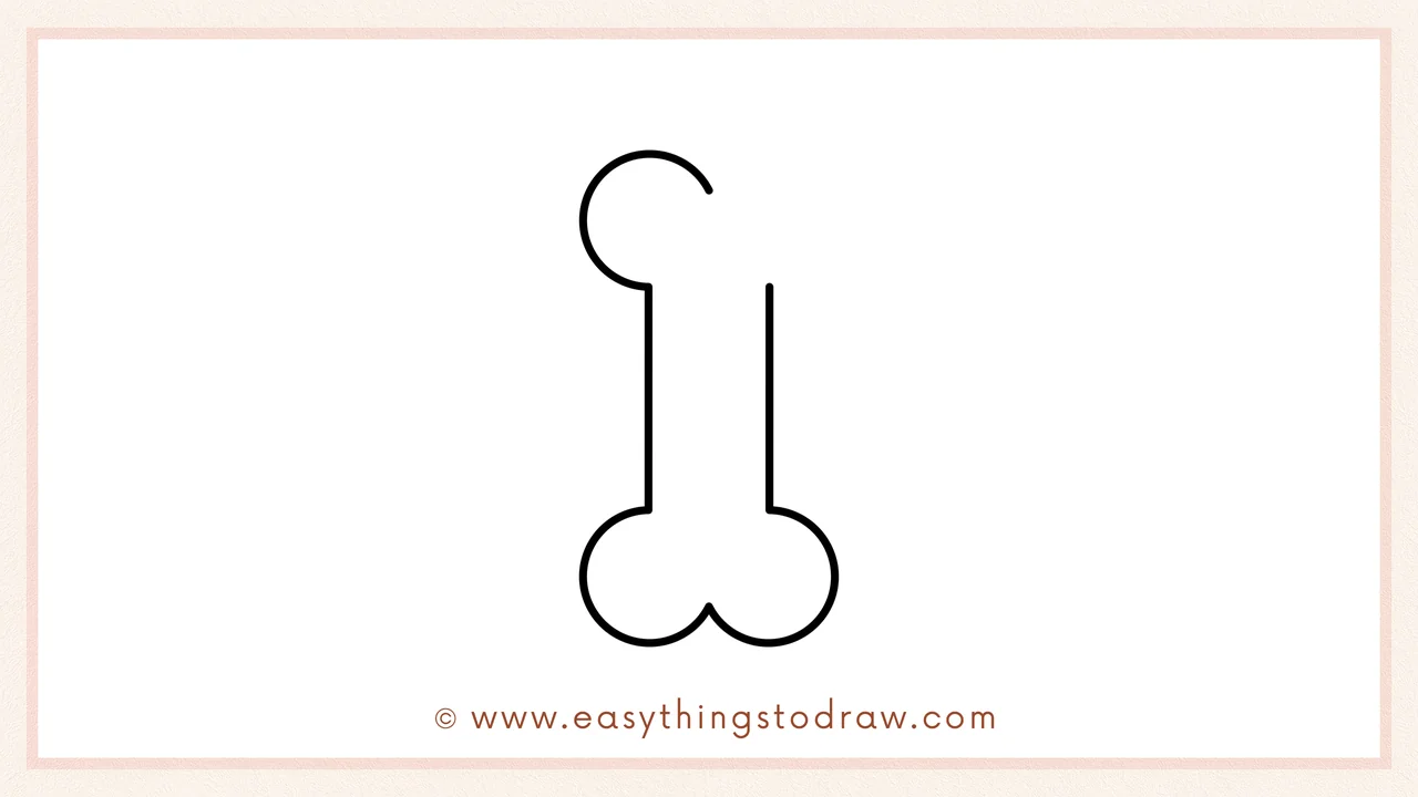Step 4 of step-by-step bone sketch – Draw a vertical straight line down the right side, mirroring the left.