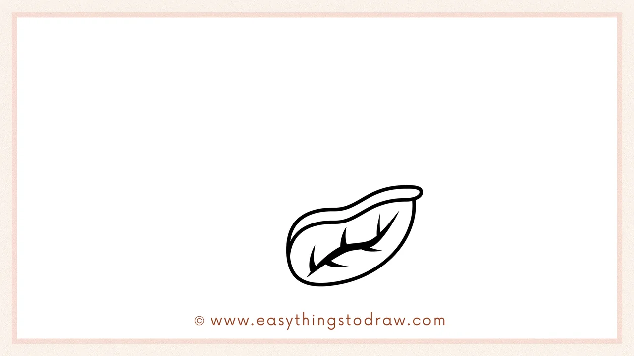 Step 1 of how to draw a cabbage – Sketching a wide, curving leaf at the bottom with a vein line inside.