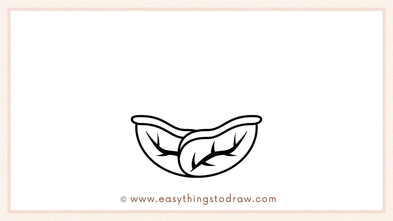 Step 2 of drawing a cabbage – Adding a second leaf next to the first one, creating an overlapping base.