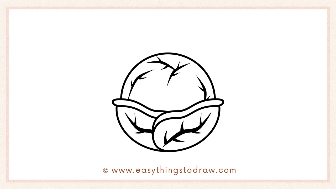 Step 3 of sketching a cabbage for beginners – Drawing a large circle for the cabbage head above the leaves with texture lines.