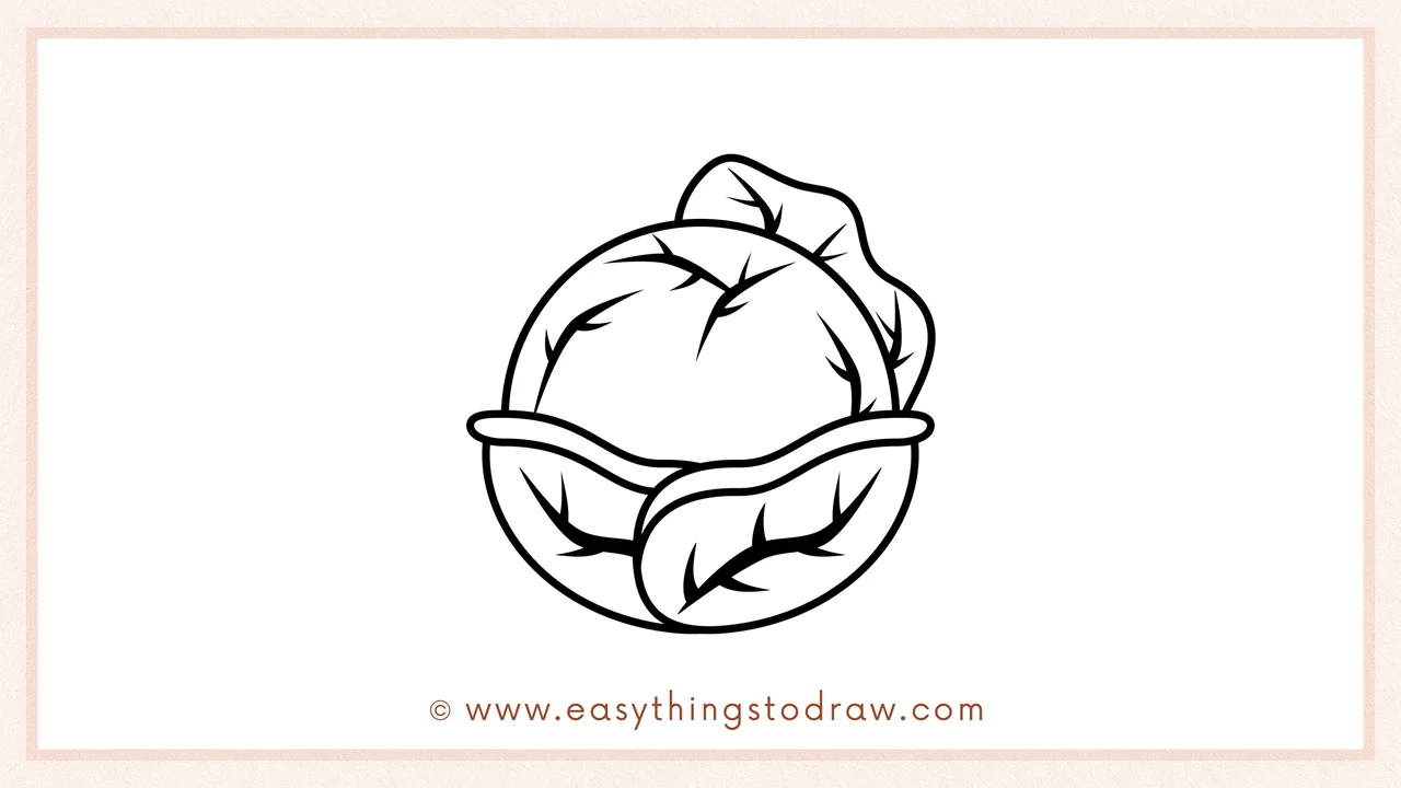 Step 4 of a step-by-step cabbage sketch – Adding two smaller, wavy leaves sticking out from the sides.