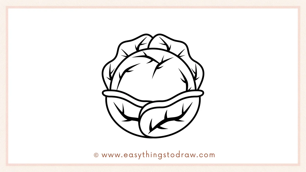 Step 5 of easy cabbage drawing steps – Finishing the drawing by adding another layer of leaves on top for a full look.